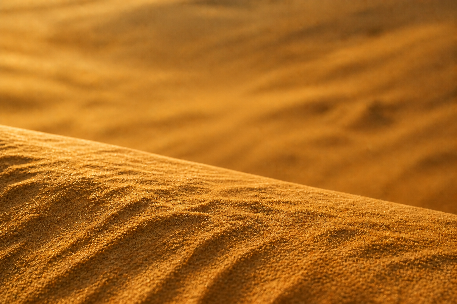 A wind-shaped dune glowing in desert light